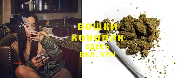 дарнет шоп  Ногинск  Бошки Шишки White Widow 